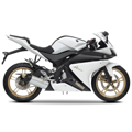 YZF-R125, 2008 bis 2013, RE06  - Euro3